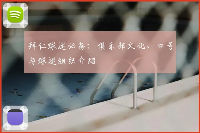 拜仁球迷必备：俱乐部文化、口号与球迷组织介绍